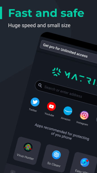 Matrix Browser - fast web surf