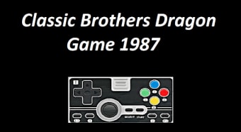 Arcade Brothers Dragon Game 19