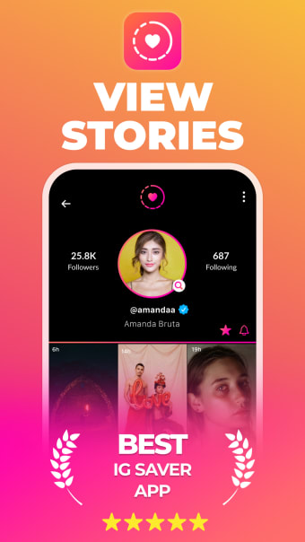 InStory: Story Viewer Saver