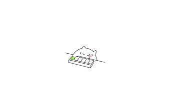 Bongo Cat Typing