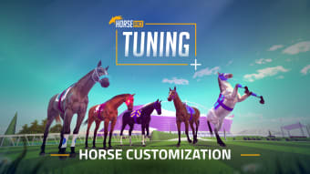 Racing Horse Customize Tuning
