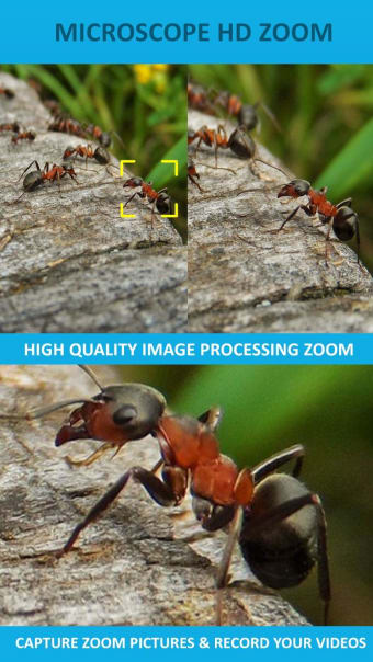 Microscope HD Zoom Camera