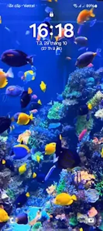 4D Fish Tank Live Wallpaper