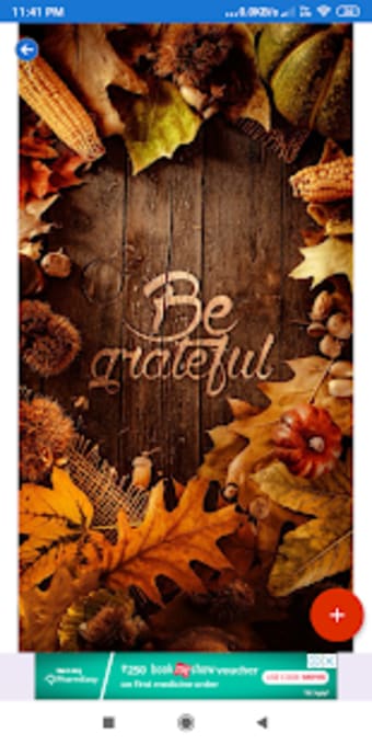 Thanksgiving Wallpaper: HD images Free download
