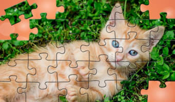 Puzzles for all