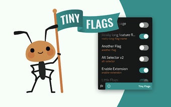 Tiny Flags Extension