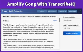 TranscribeIQ - AI Sales Insights for Gong