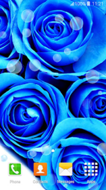 Blue Rose Live Wallpapers