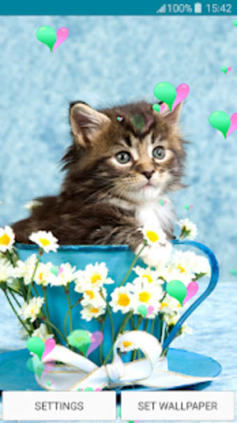 Live Wallpapers  Kittens