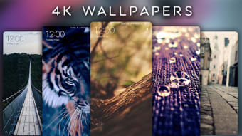 4K Wallpapers - Auto Wallpaper Changer