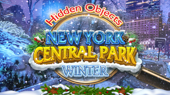 Hidden Objects New York Winter