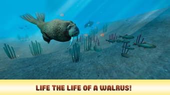 Arctic Walrus Survival Simulator 3D
