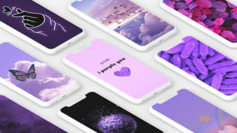 Purple Wallpaper offline  I purple you