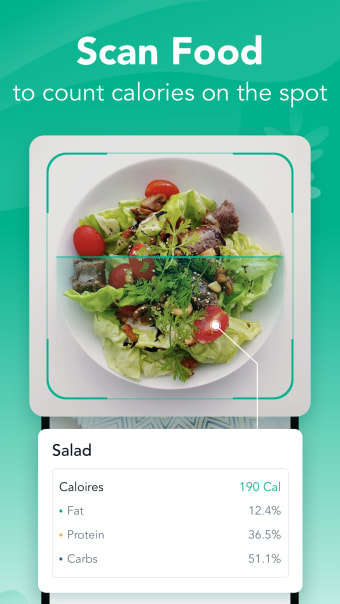 Calorie Counter App: Calowise
