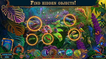 Hidden Expedition: Paradise