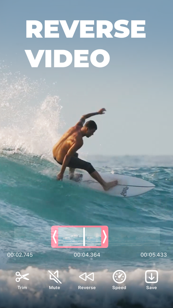 Video reverse  speed editor