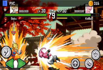 Fighting Dragonball Z vs Budokai Tenkaichi 3 Hint