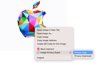 Image Privacy Guard