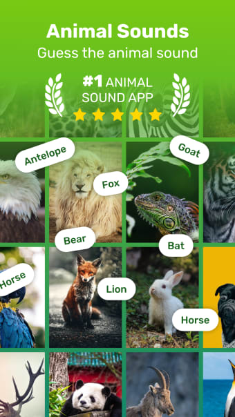Guess Animal Sounds