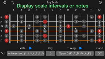 AnyScale - Tunings  Scales