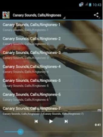 Canary Bird Calls  Ringtones