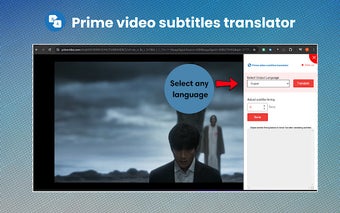 Prime video subtitles translator