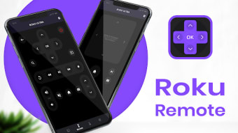 Roku Remote Control Pro