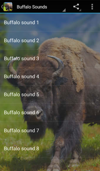 Buffalo Sounds
