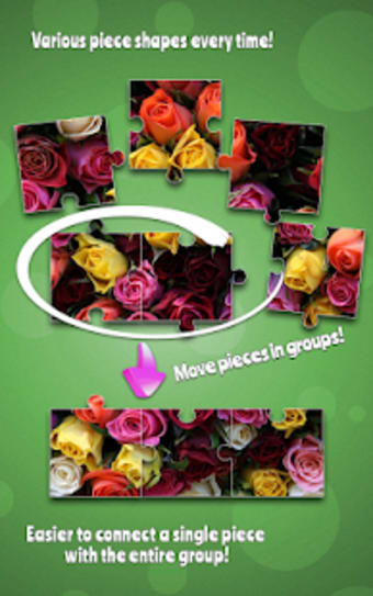 Roses Jigsaw Puzzle Game