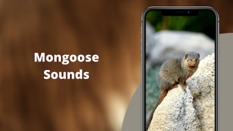 Mongoose Sounds