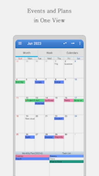 Caros Calendar: Schedule Plan