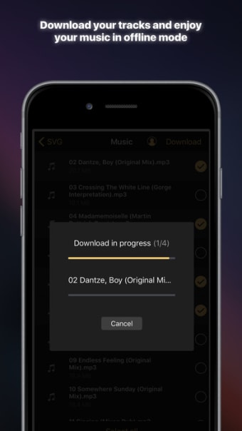 Equalizer+ premium: music player & bass booster