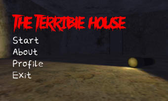 The Terrible House