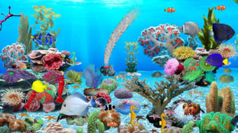 Blue Ocean Aquarium