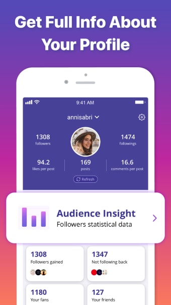 Analytics on Instagram Metrion