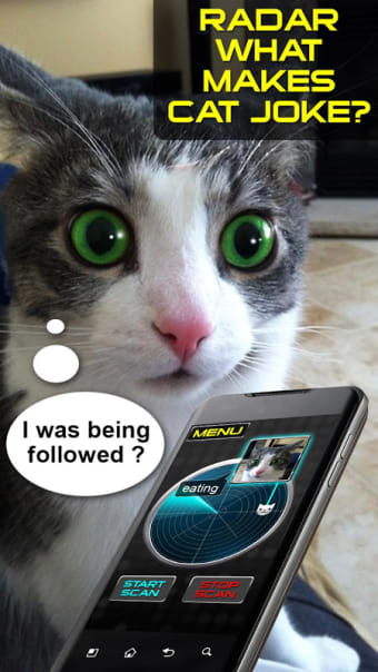 Radar What Makes Cat Joke