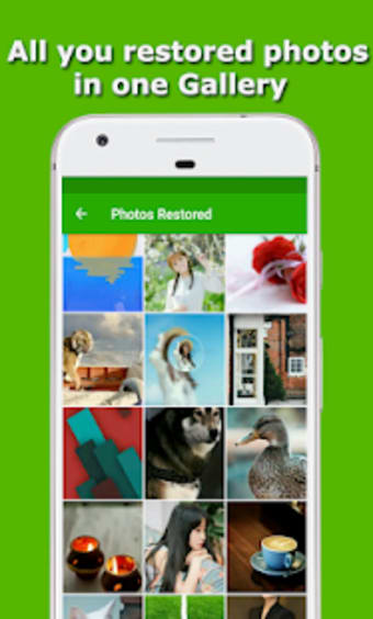 Restore Deleted Photos - Recover Deleted Pictures