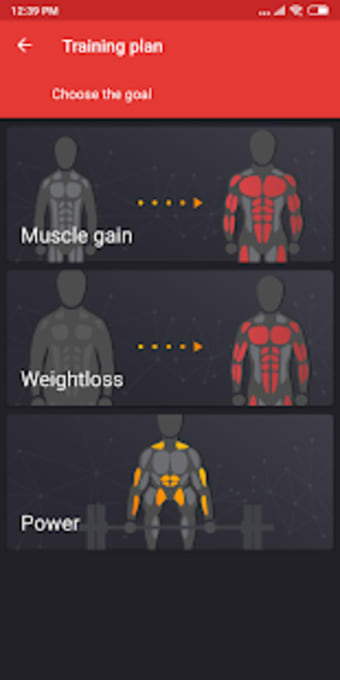 Gym Workout Plan for Weight Training