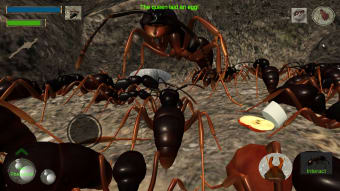 Ant Simulation 3D - Insect Survival Game