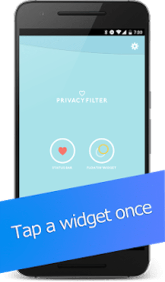 Privacy Filter Pro