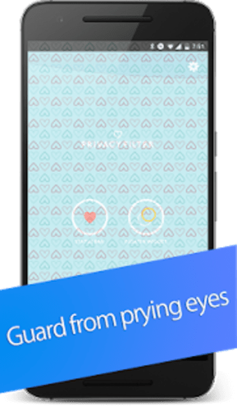 Privacy Filter Pro