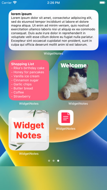 Widget Notes Home Lock Screen