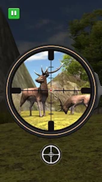 Animal Hunting Bow Shooting 3D