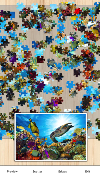 Puzzle Party - Jigsaw Puzzles