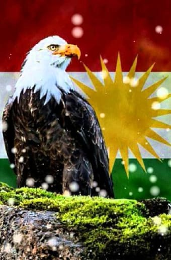 Kurdish Flag Wallpapers