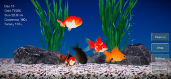 Goldfish 3D Relaxing Aquarium