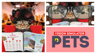 Vision pets simulator