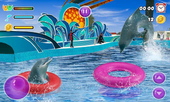 Dolphin Show My Dolphin Games