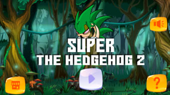 Super The Hedgehog Adventure 2