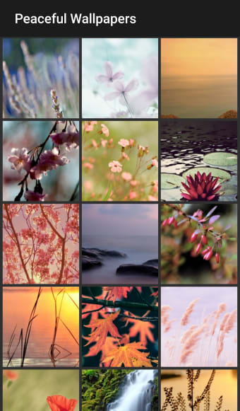 Peaceful Wallpapers